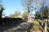 IMG_0452-Copy