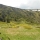 DSCN0502