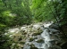DSCN7042