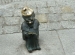 DSCN7178