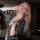 Andrzejki - Dyskoteka 2011 (16)