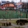 dzien-kolorowy-pomaranczowy-2015 (10)
