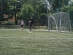 dzien-sportu-2012 (2)