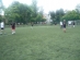 dzien-sportu-2012 (20)