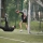 dzien-sportu-2013 (13)