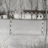zdj0045