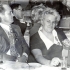 zdj0067