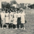 zdj0155