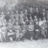 zdj0199