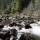 dav