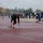 Lekkoatletyka 2010 (13)