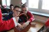IMG_1092-Copy