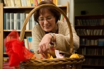 biblioteka (13)