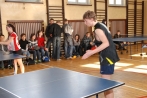 Obchody (14)