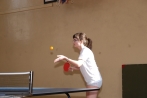 Obchody (23)