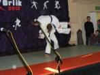 Orlik 2010 (37)