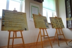 swieto-biblioteki-2012 (6)