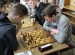 turniej-szachowy-2016 (8)