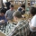 turniej-szachowy-2016 (9)