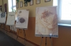 IMG_20190404_115555-Copy