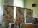 vii-zjazd-absolwentow-2011 (160)