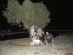 wycieczka-grecja-2009 (32)