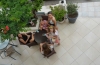 20180520_162209