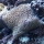 20170524_143356