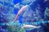 IMG_20190521_104152