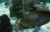 IMG_20190521_103645