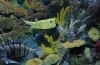 IMG_20190521_105442