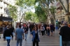 IMG_20190521_173118