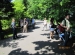 Wycieczka do Hotelu Ossa i Ogrodu Botanicznego w Powsinie 2011 (39)