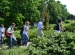 Wycieczka do Hotelu Ossa i Ogrodu Botanicznego w Powsinie 2011 (46)