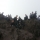 20161019_115416