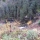 20161020_103534