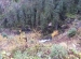 20161020_103534