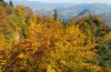 20181009_142026