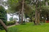 IMG_20220522_133935
