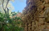 IMG_20220526_101637