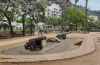 IMG_20220525_113844