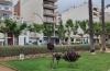 IMG_20220525_113911