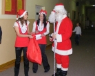 Choinka 2009 (10)